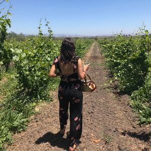 Amuse Society Jumpsuit